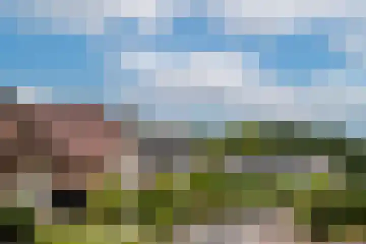 Beltmolen 24 de Lutte thumbnail 34