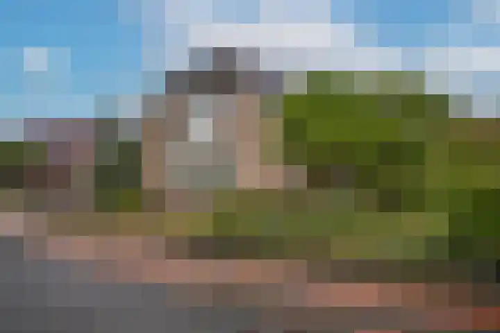 Beltmolen 24 de Lutte thumbnail 5
