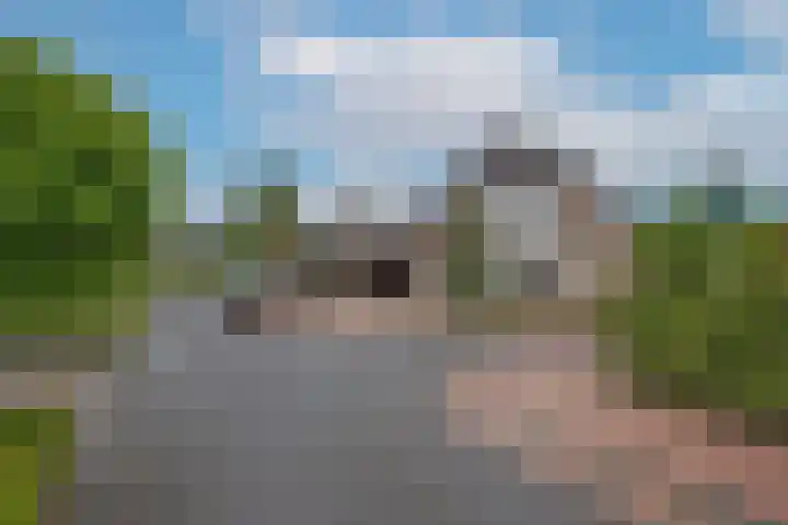 Beltmolen 24 de Lutte thumbnail 6