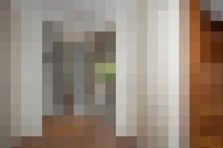 Beltmolen 24 de Lutte thumbnail 9