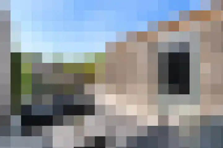 Beltmolen 38 Weert thumbnail 37