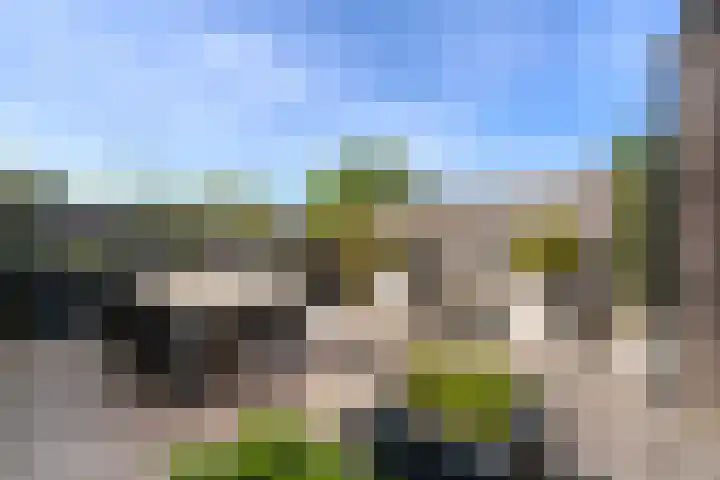 Beltmolen 38 Weert thumbnail 38