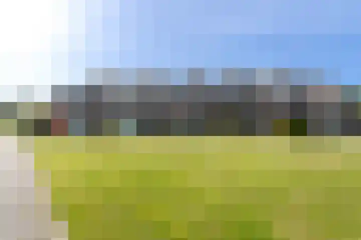 Beltmolen 38 Weert thumbnail 47