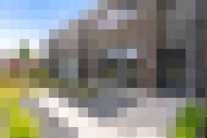 Beltmolen 38 Weert thumbnail 8