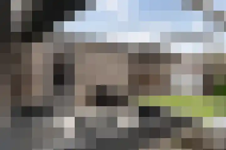 Beltmolen 50 Weert thumbnail 38