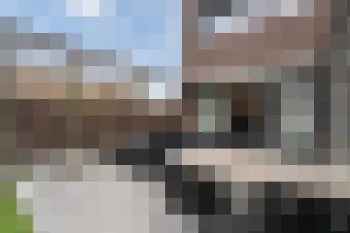 Beltmolen 50 Weert thumbnail 39