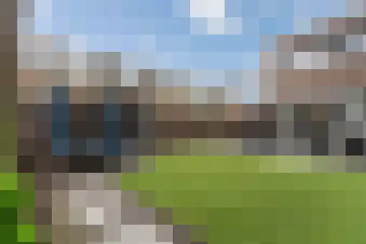 Beltmolen 50 Weert thumbnail 40