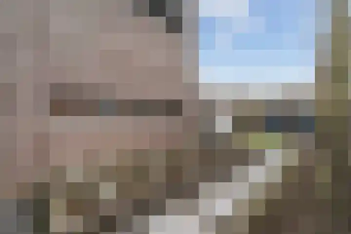 Beltmolen 50 Weert thumbnail 42