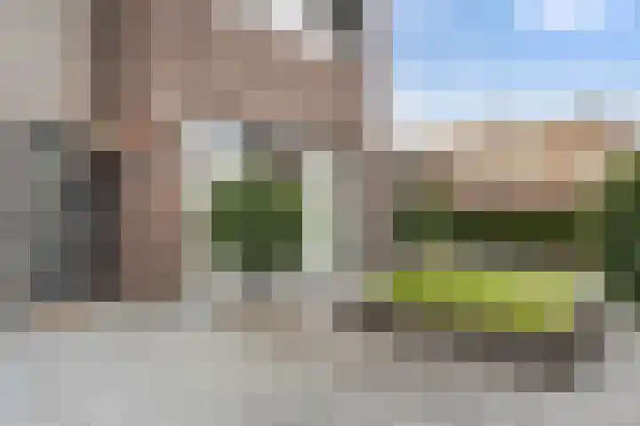 Beltmolen 50 Weert thumbnail 8