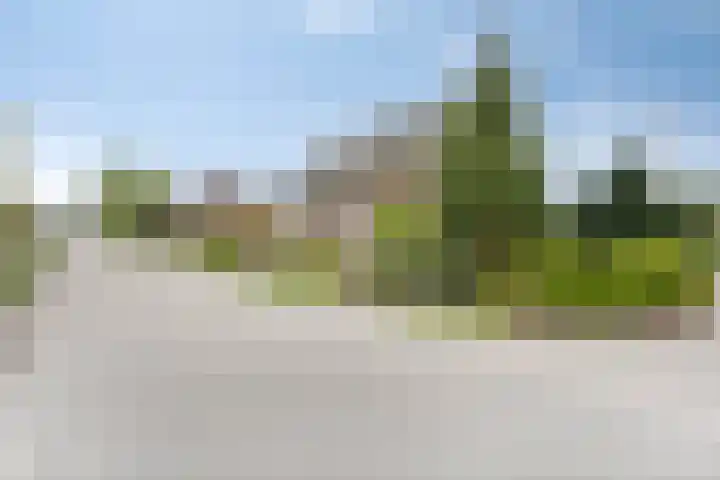 Bemmelstraat 9 a Horst thumbnail 4