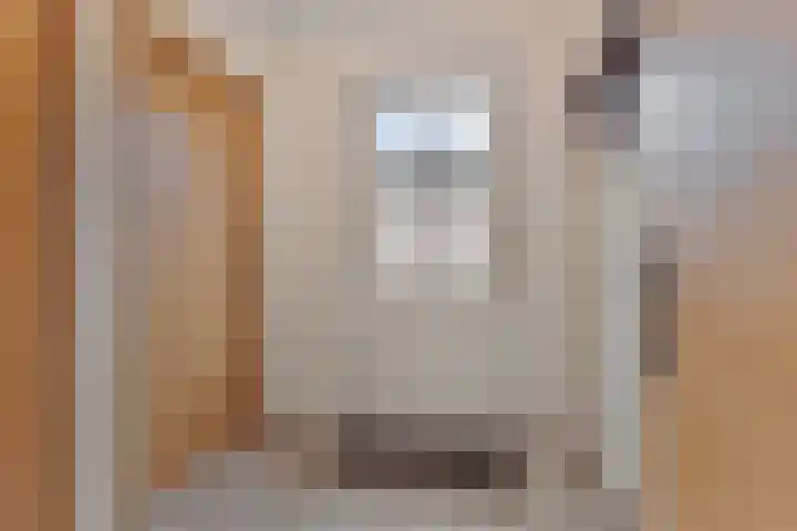 Bemmelstraat 9 a Horst thumbnail 40