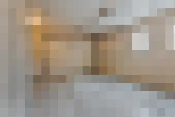 Bemmelstraat 9 a Horst thumbnail 42