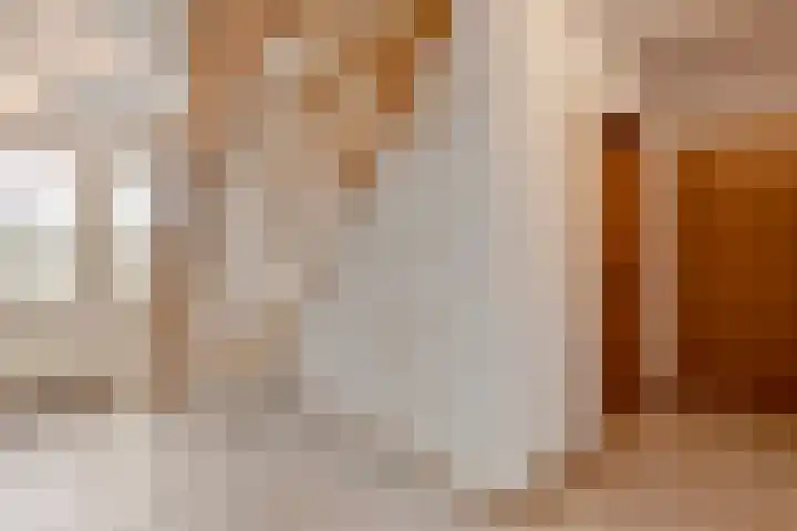 Bemmelstraat 9 a Horst thumbnail 8