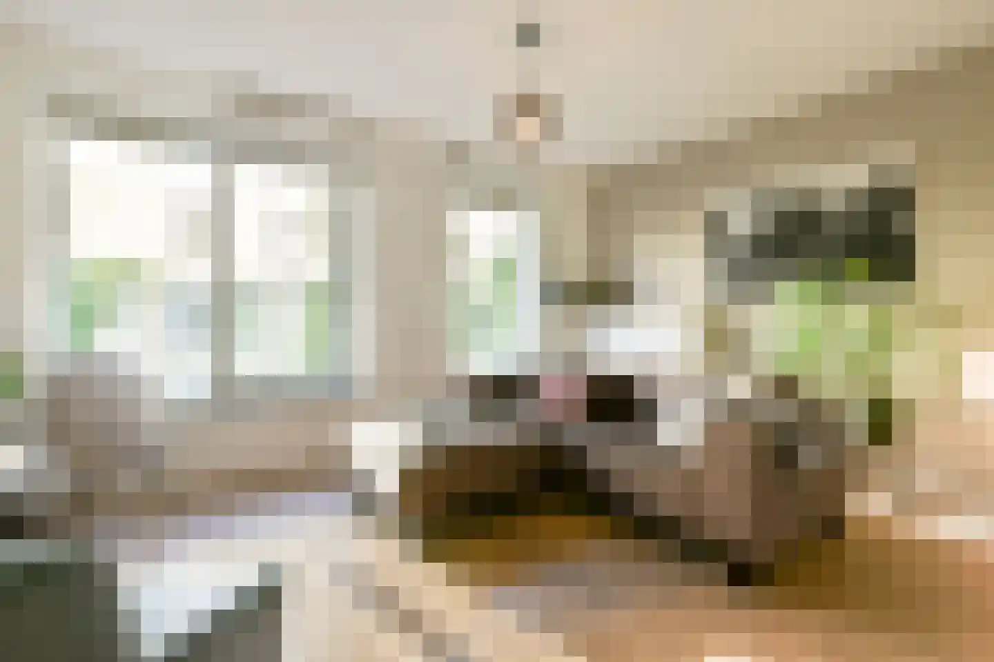 Ben Brilstraat 8 Amsterdam thumbnail 7