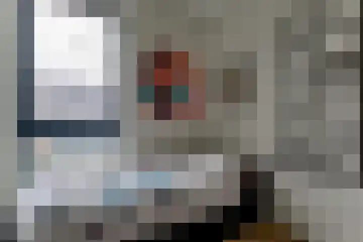 Ben Essingstraat 12 Blokker thumbnail 32