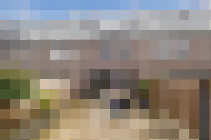 Ben Essingstraat 12 Blokker thumbnail 4