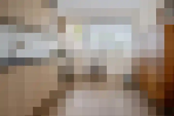 Bendienplein 14 Emmen thumbnail 10