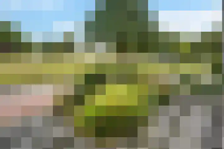 Bendienplein 14 Emmen thumbnail 33
