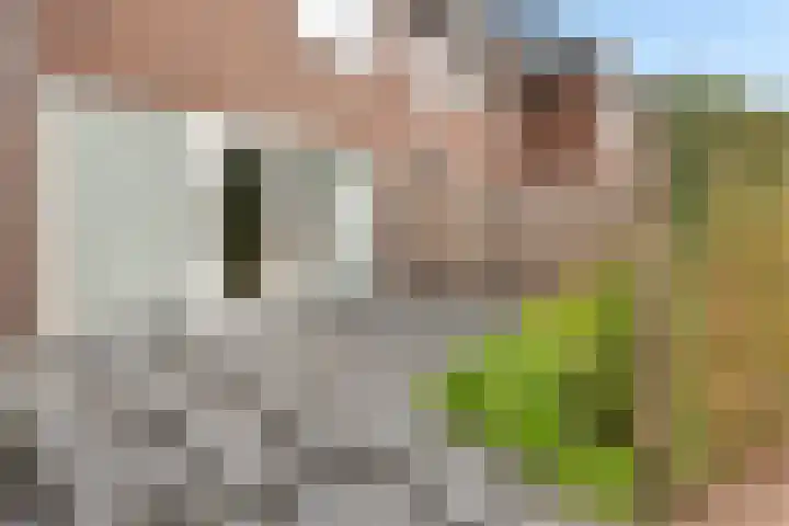 Bendienplein 14 Emmen thumbnail 40