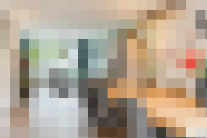 Beneden Beekloop 21 Geldrop thumbnail 11
