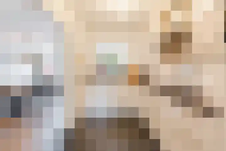 Beneden Beekloop 21 Geldrop thumbnail 14