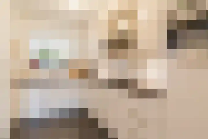 Beneden Beekloop 21 Geldrop thumbnail 15