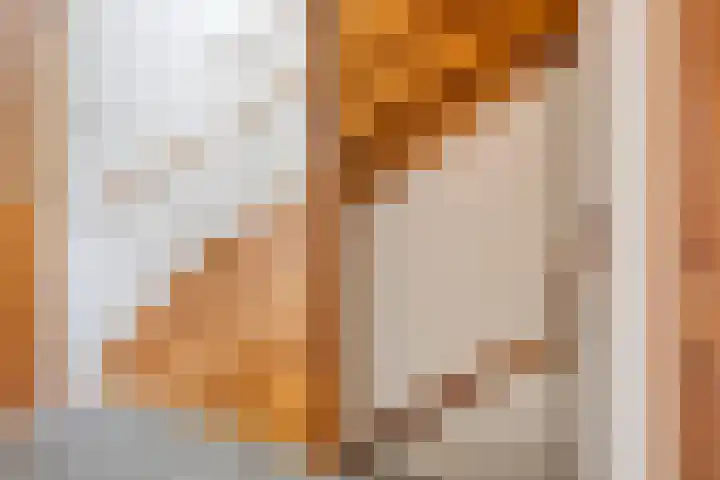 Beneden Beekloop 21 Geldrop thumbnail 16