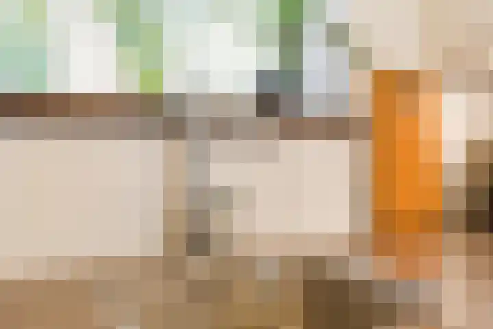 Beneden Beekloop 21 Geldrop thumbnail 16