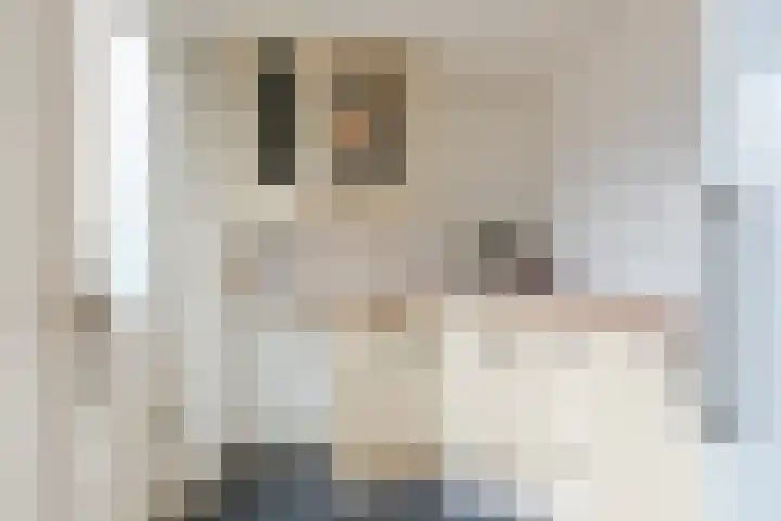 Beneden Beekloop 21 Geldrop thumbnail 17