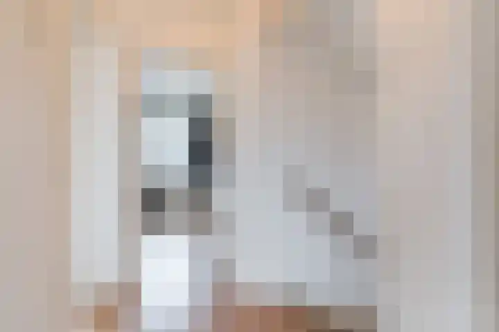Beneden Beekloop 21 Geldrop thumbnail 19