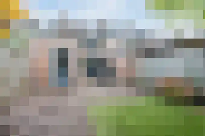 Beneden Beekloop 21 Geldrop thumbnail 32