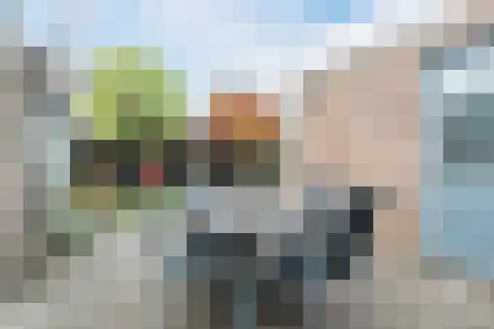 Beneden Beekloop 21 Geldrop thumbnail 34