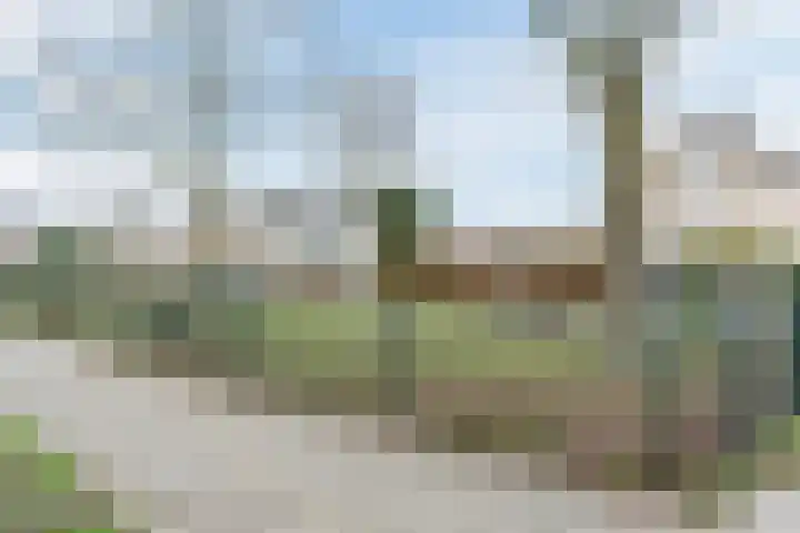 Beneden Beekloop 21 Geldrop thumbnail 39