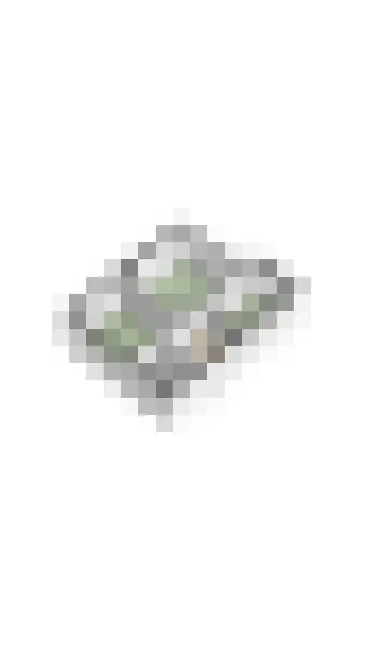 Beneden Beekloop 21 Geldrop thumbnail 45