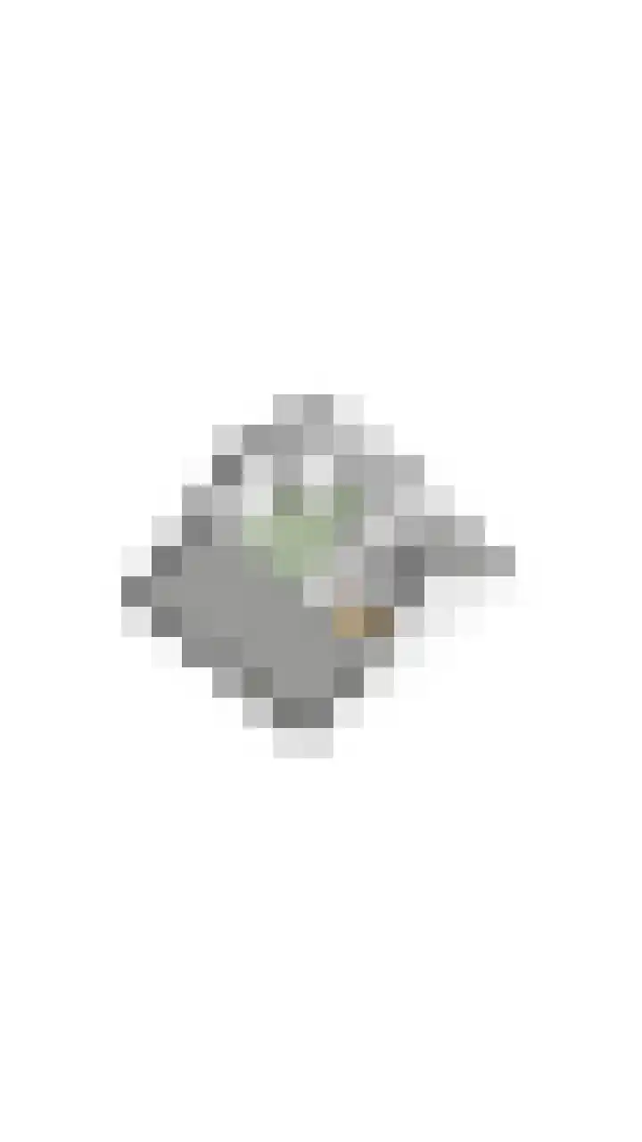 Beneden Beekloop 21 Geldrop thumbnail 46