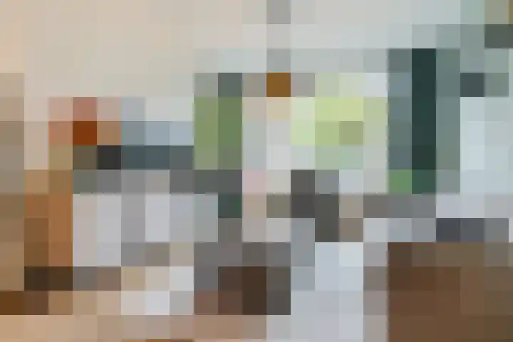 Beneden Beekloop 21 Geldrop thumbnail 6