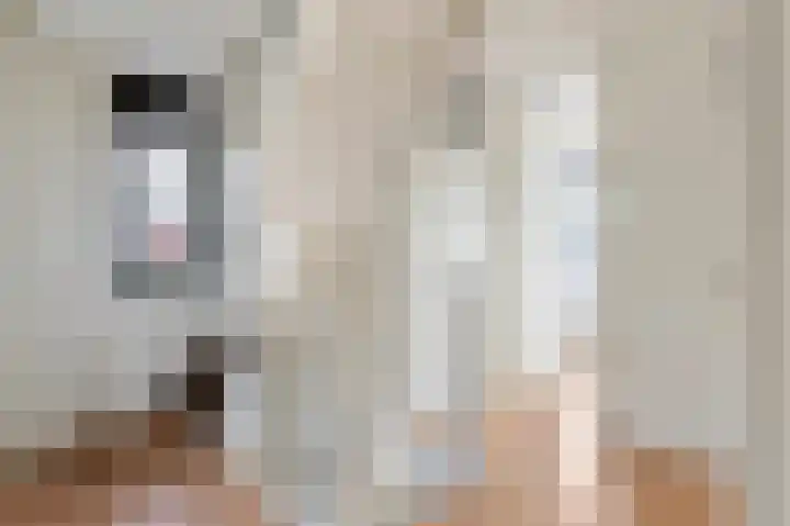 Beneden Beekloop 21 Geldrop thumbnail 7