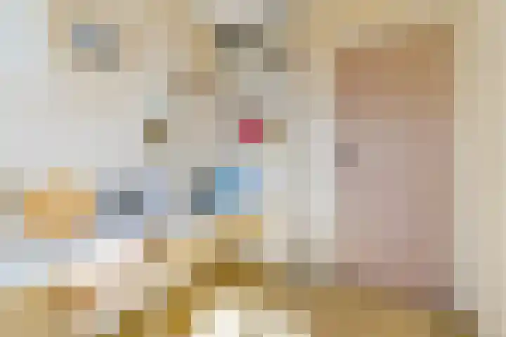 Beneden Beekloop 53 Geldrop thumbnail 23
