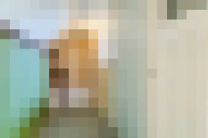 Beneden Beekloop 53 Geldrop thumbnail 28