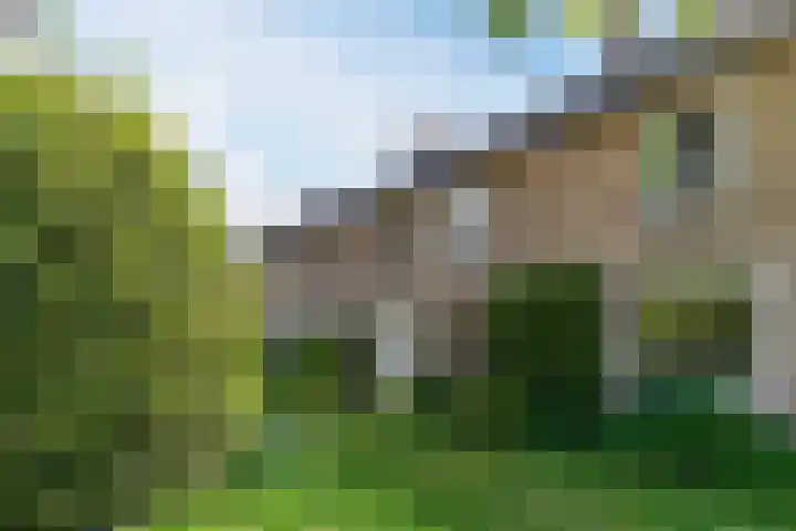 Beneden Beekloop 53 Geldrop thumbnail 39