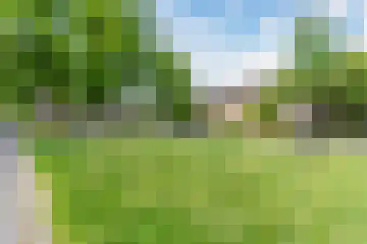 Beneden Beekloop 53 Geldrop thumbnail 42