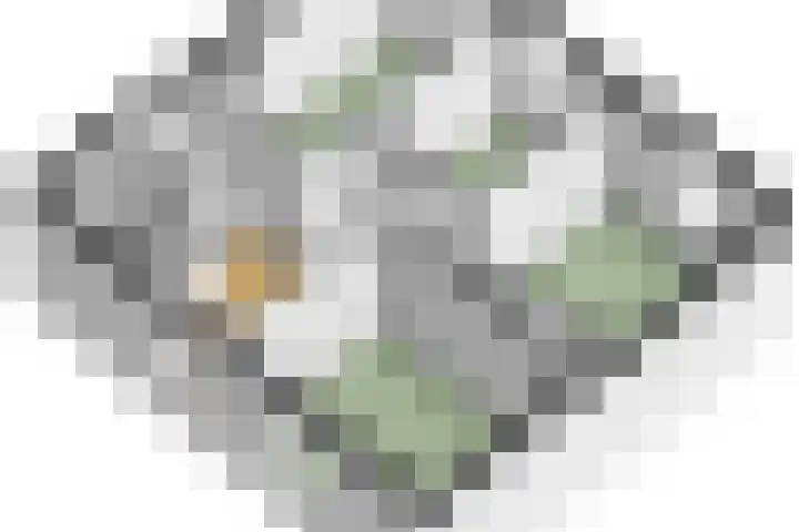 Beneden Beekloop 53 Geldrop thumbnail 51
