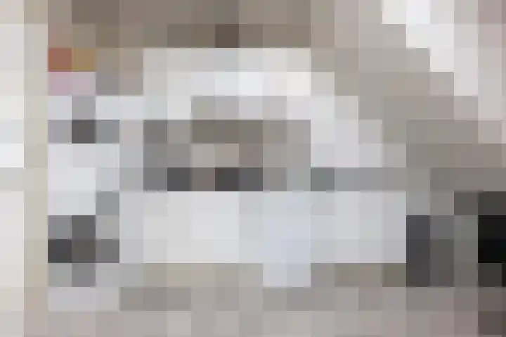 Beneden Molendijk 6 Ooltgensplaat thumbnail 21