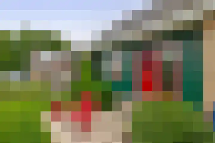 Benedenberg 26 Bergambacht thumbnail 11