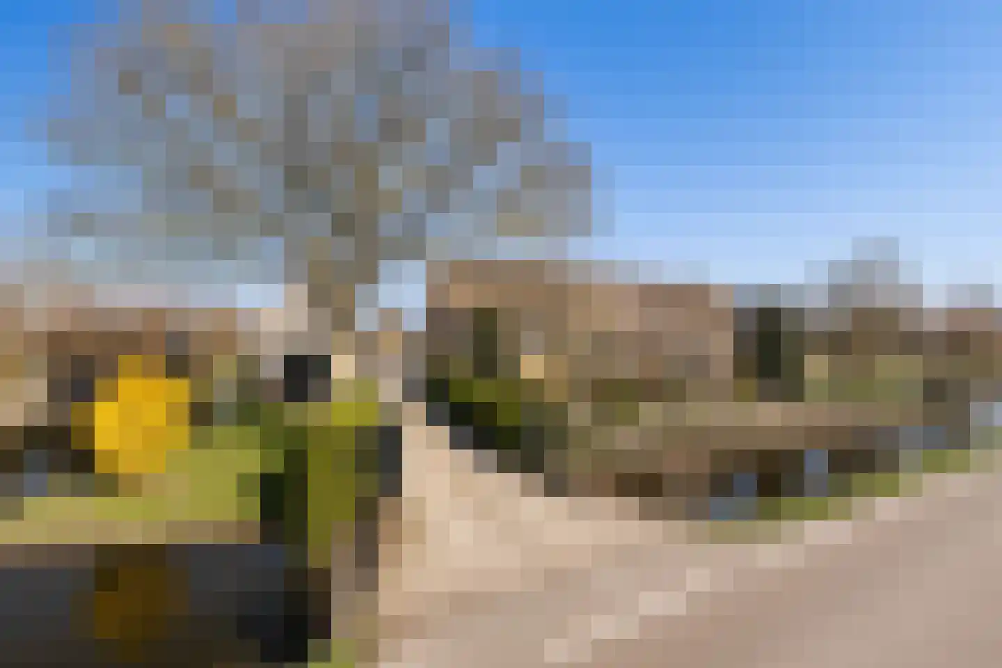 Benedenberg 83 Bergambacht thumbnail 13