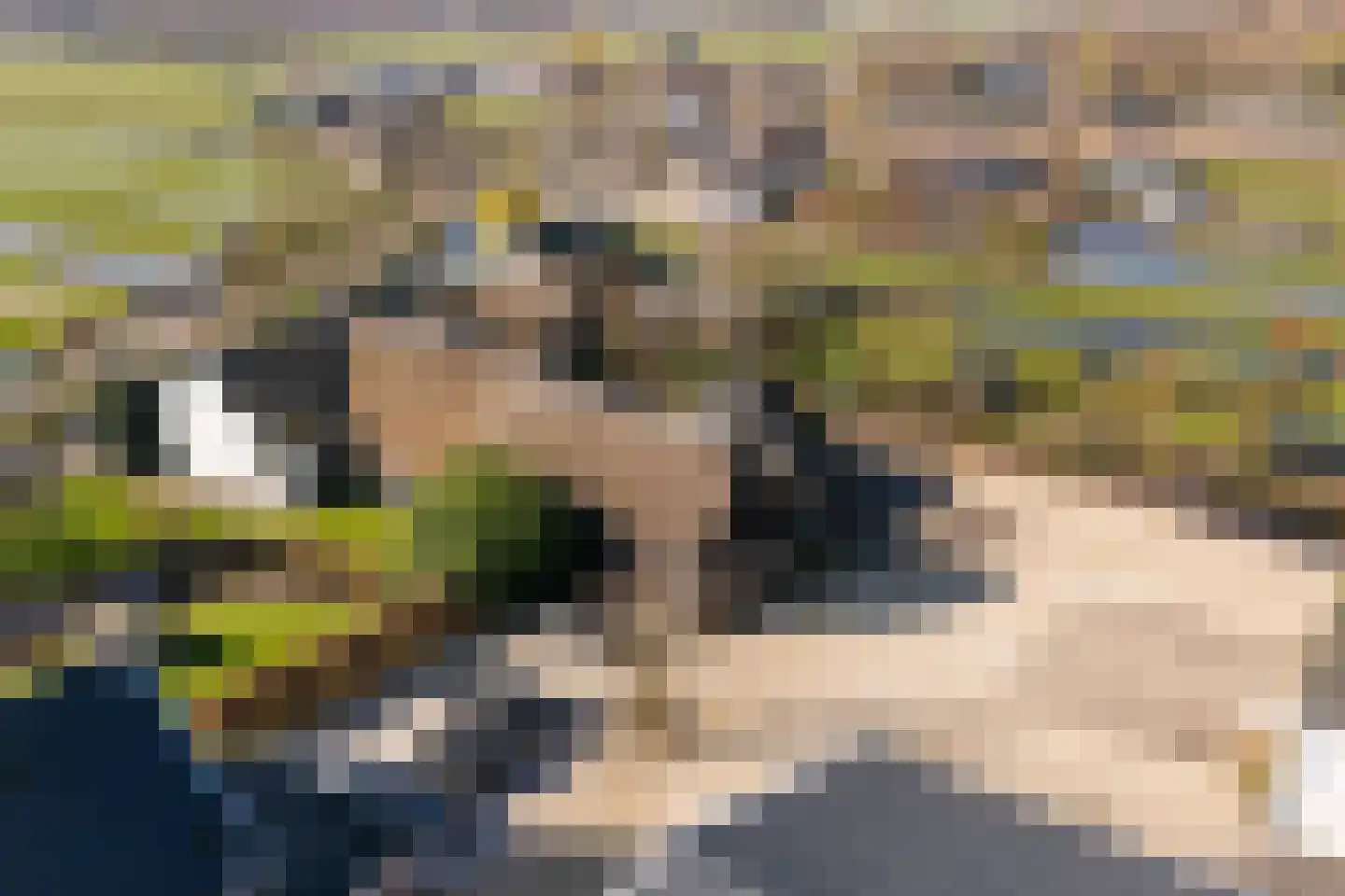 Benedenberg 83 Bergambacht thumbnail 8