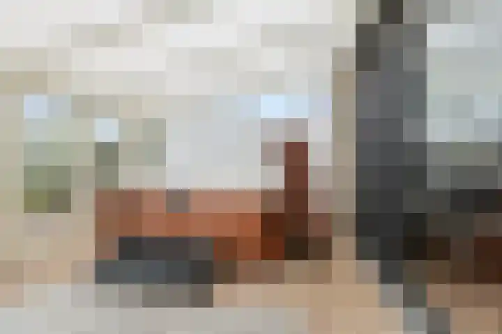 Benedenberg 94 Bergambacht thumbnail 30
