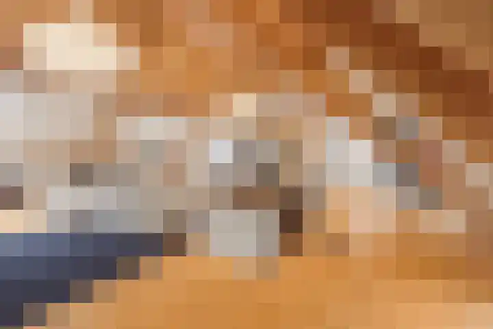 Benedenberg 94 Bergambacht thumbnail 6