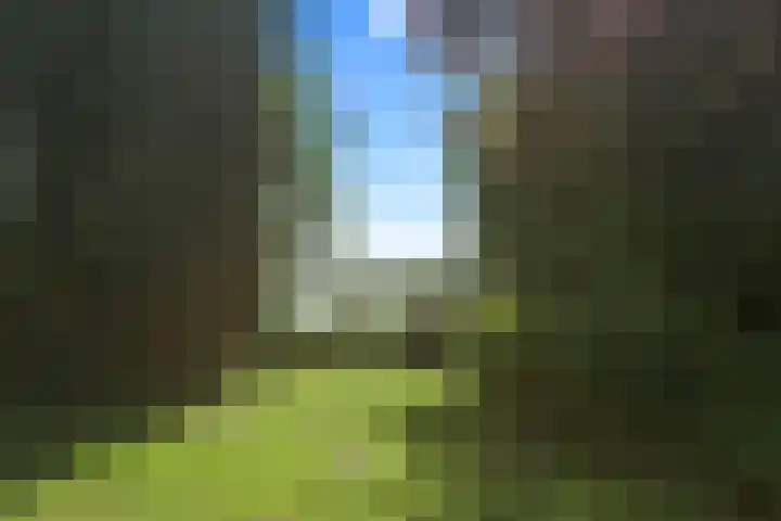 Benedenberg 94 Bergambacht thumbnail 60