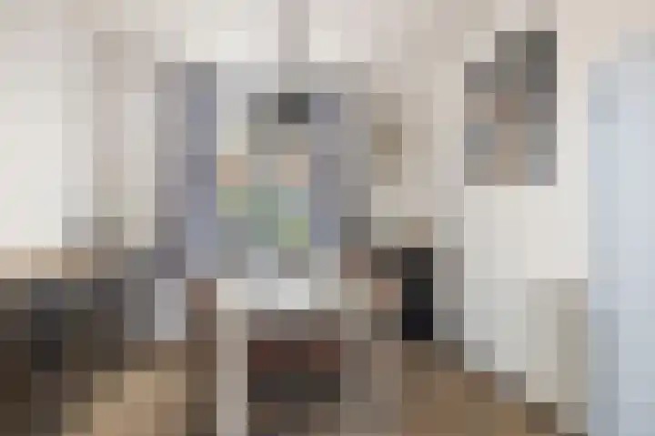 Benedendijk 56 Olst thumbnail 12